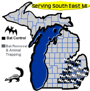 Bat Control Service Map Area
