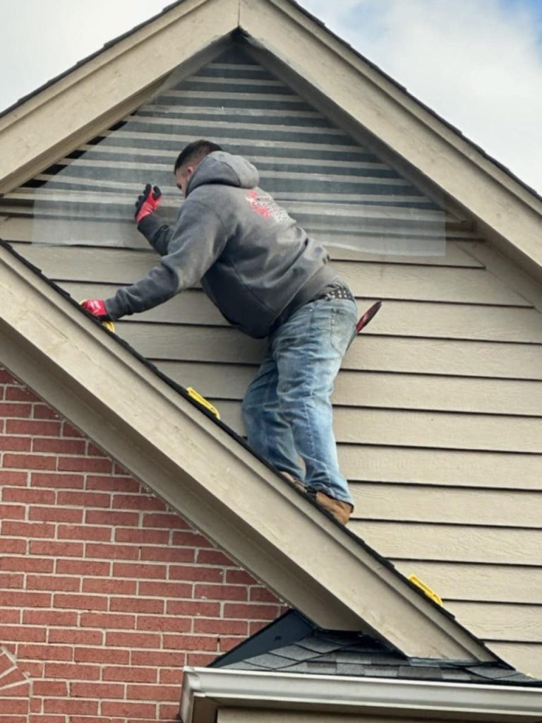 Bat Removal in Michigan, sealing entry points