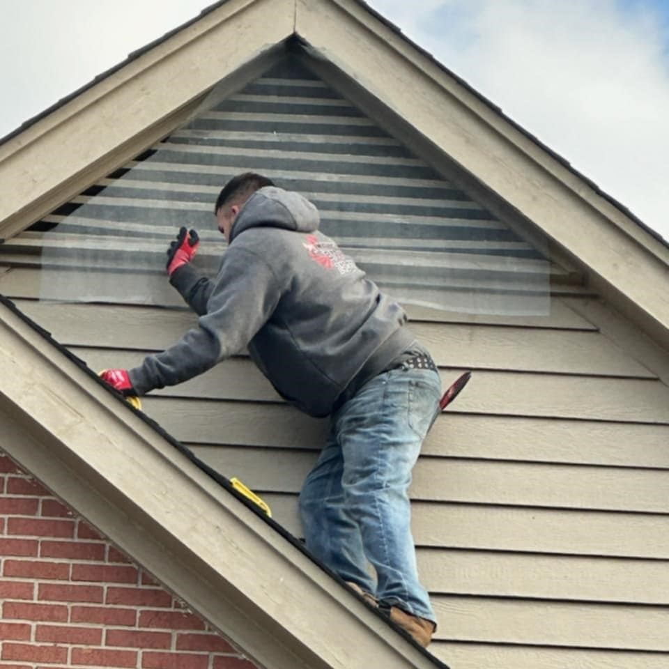 Bat Removal in Northville Michigan, sealing entry points