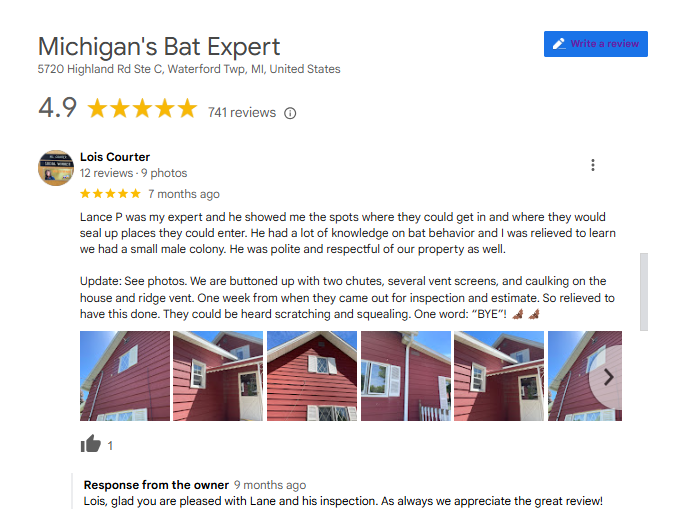 Customer Review Bat Removal Sterling Heights Michigan