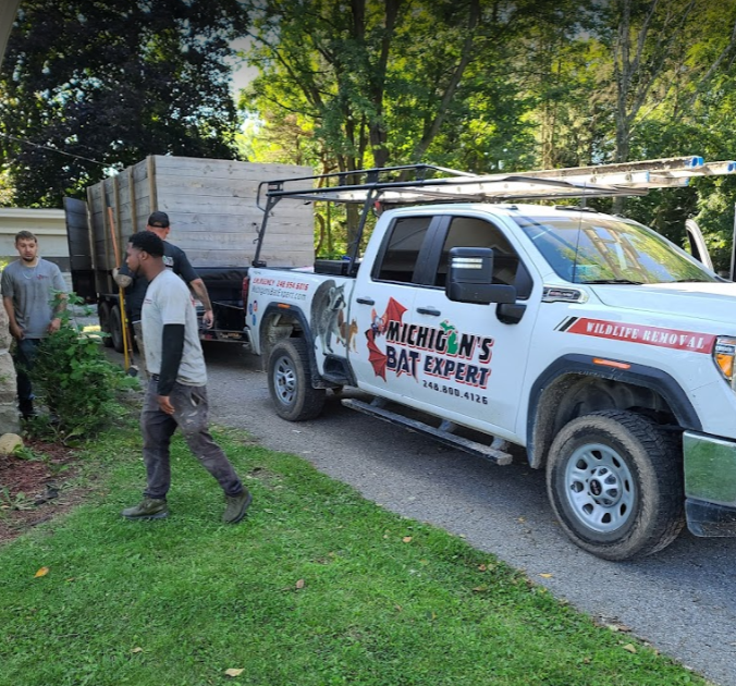 Michigan's Bat Expert team wildlife control