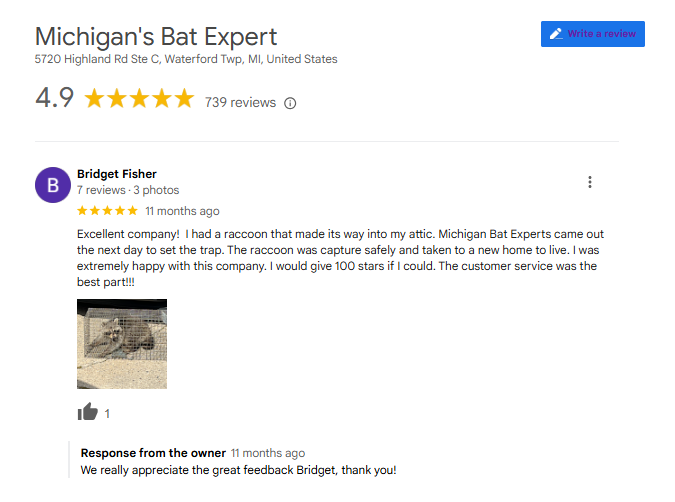 Raccoon Removal Customer Review in Waterford Township Michigan