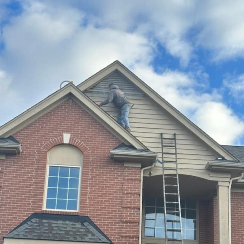 bat removal troy michigan