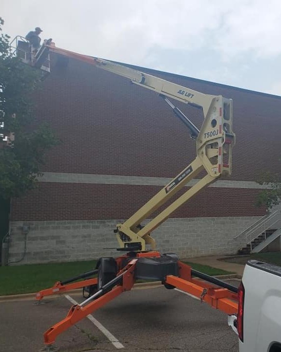 raccoon removal in sterling heights by Michigan's Bat Expert