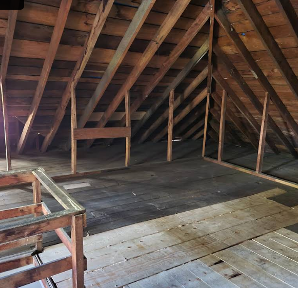 attic restoration by michigans bat expert