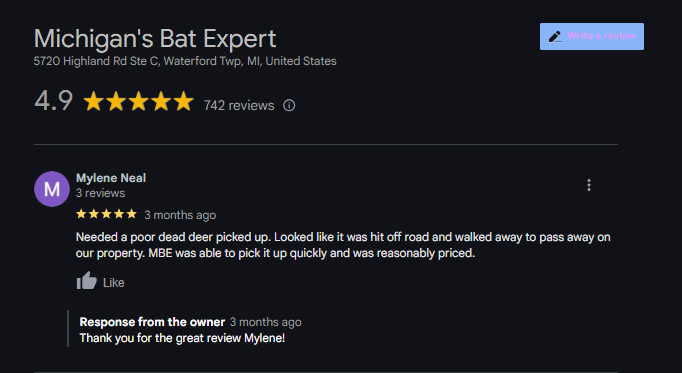 Customer Review Dead Animal Removal Michigans Bat Expert