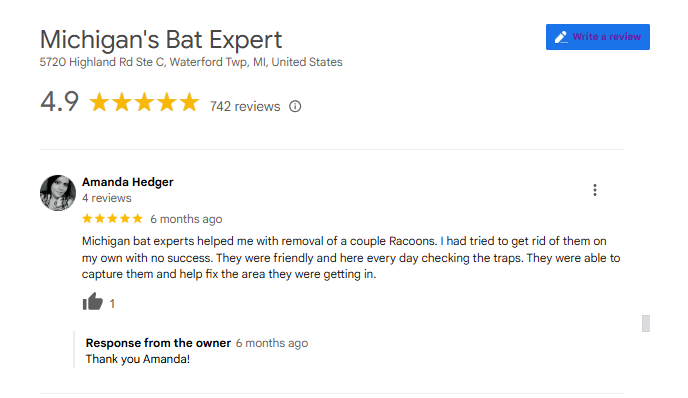 Raccoon Removal Customer Review Bloomfield Hills Michigan