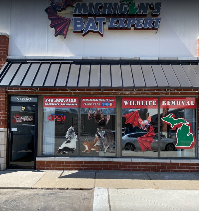 Commerce Township Mice Exclusion and Prevention