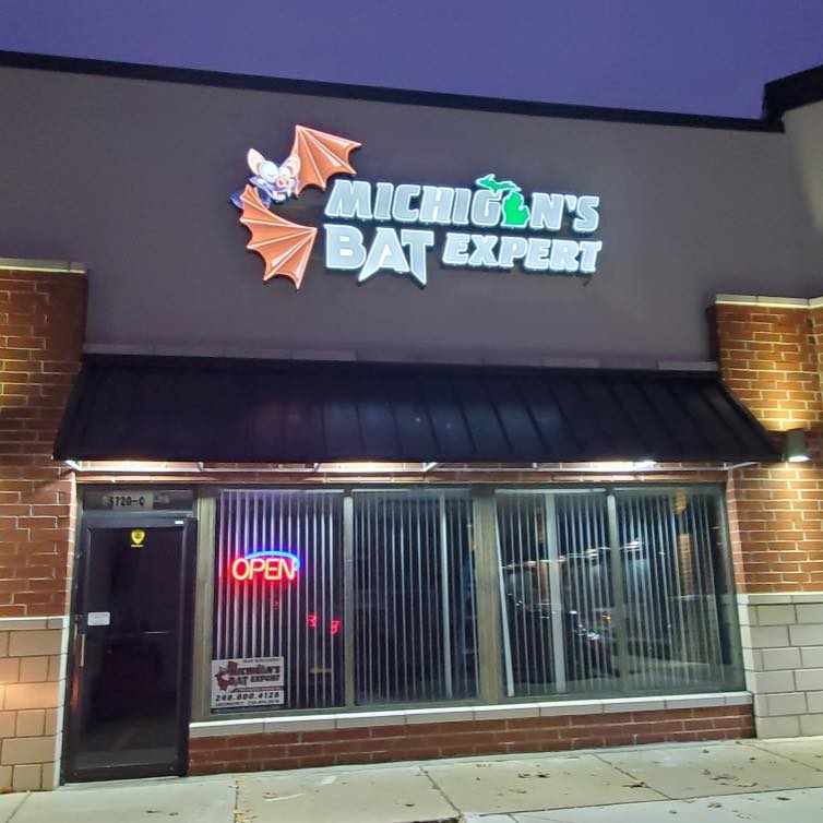 Auburn Hills Mice Exclusion and Prevention