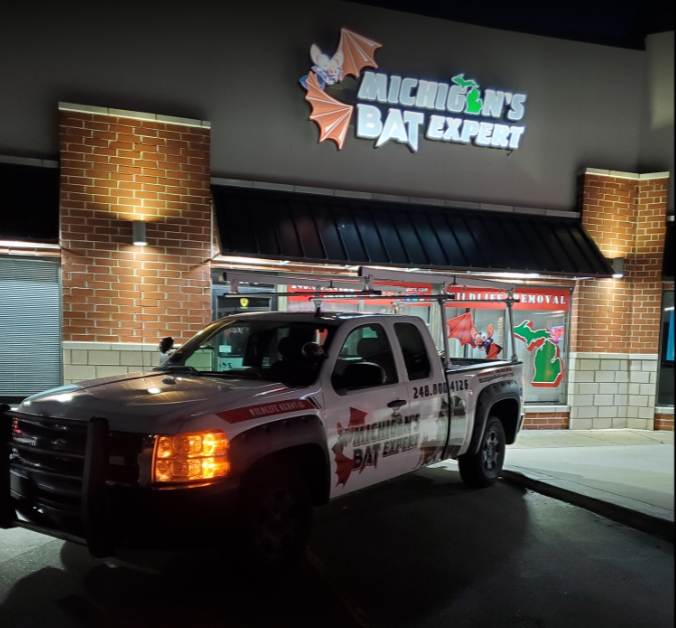 West Bloomfield Mice Exclusion and Prevention