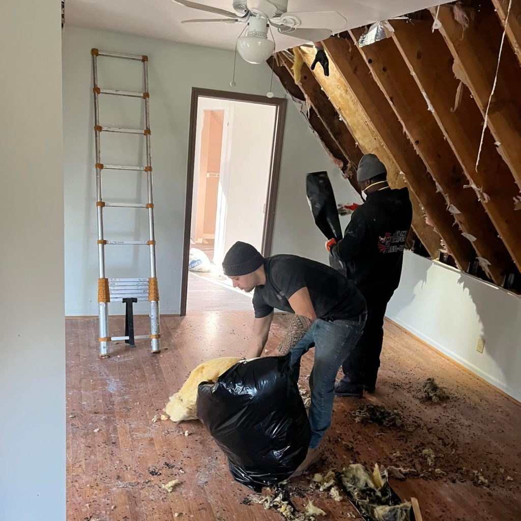 Bat Removal and Attic Restoration