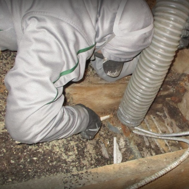 Expert Bat Removal St. Claire Shores