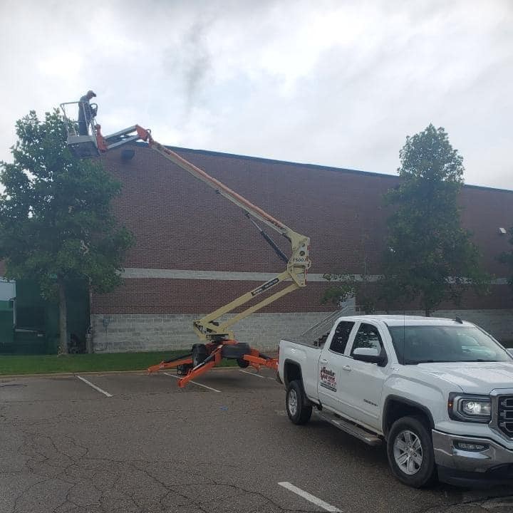 Michigans Bat Expert Bat Removal