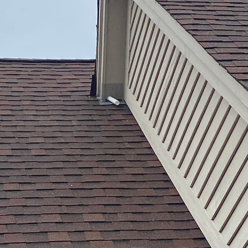 Live Bat Exclusion