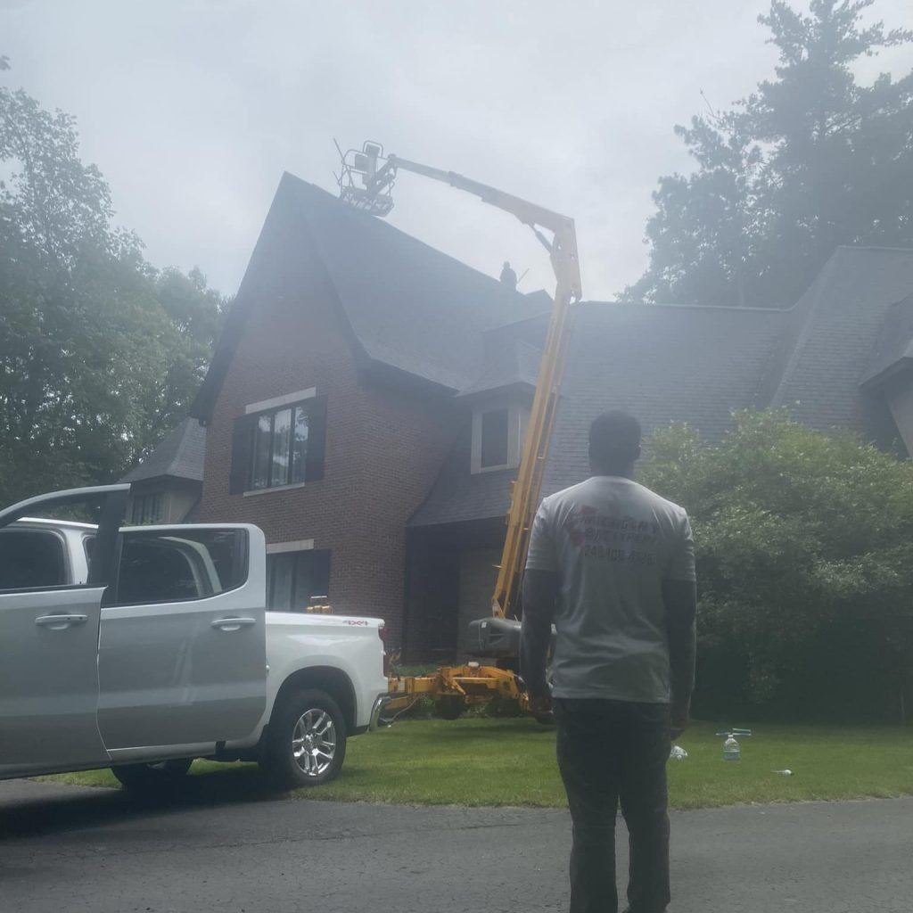 Bat Removal Shelby