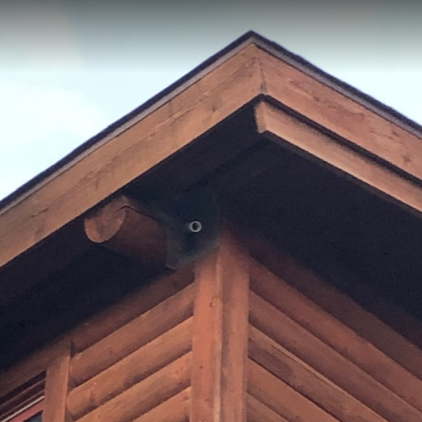 Live bat Exclusion Utica